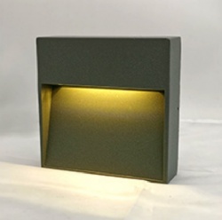 Outdoor Step Light